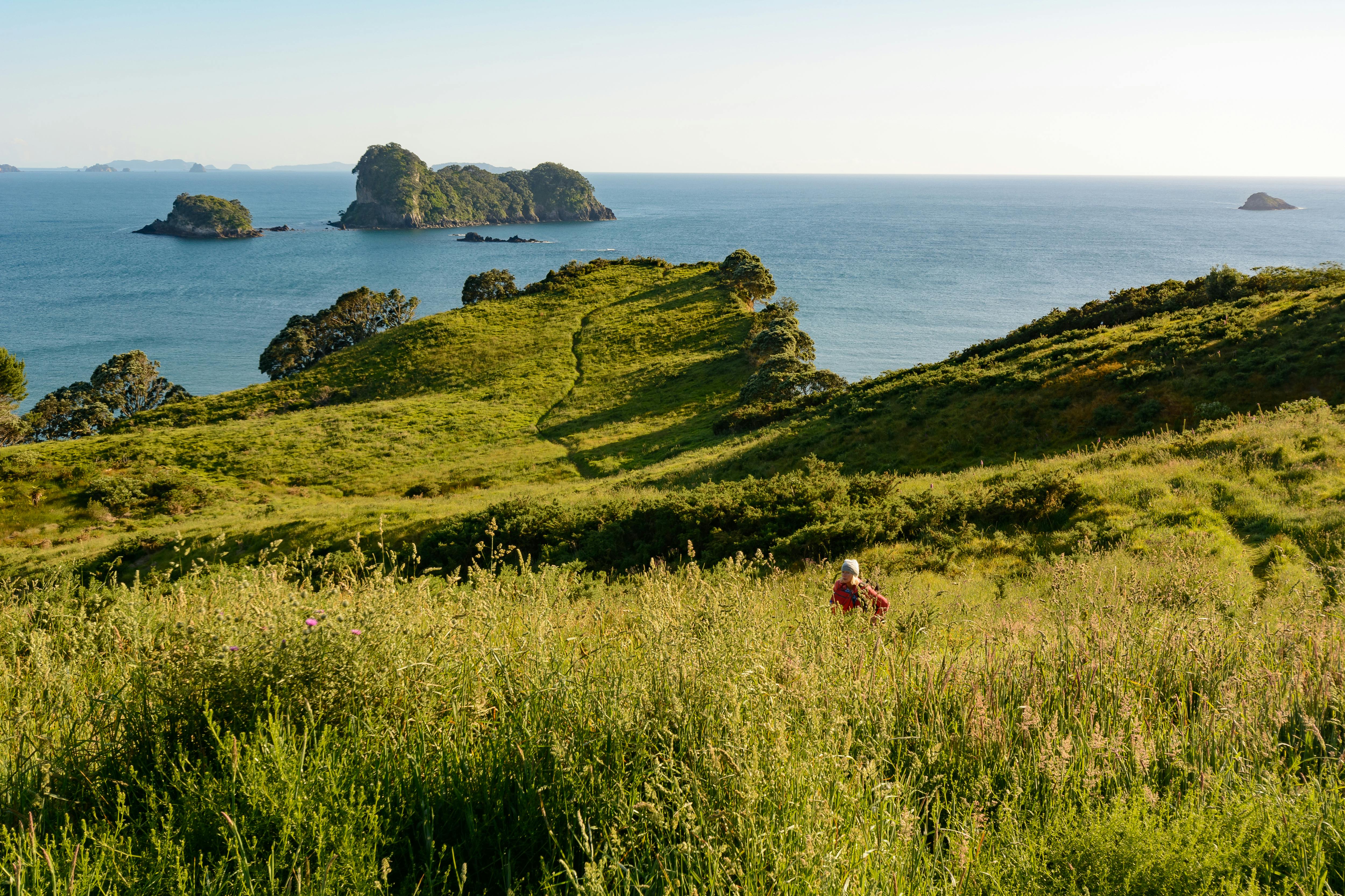 general travel new zealand tours — Photo by Frank Schrader on Pexels