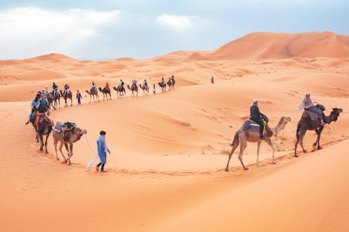 People Riding on Camels on a Desert