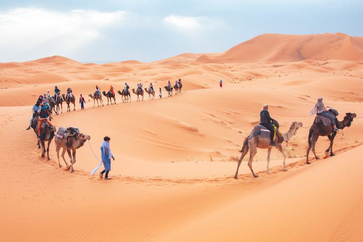 People Riding On Camels On A Desert