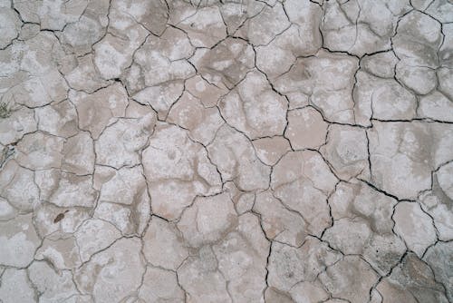 Close Up of Deserted Dry Ground