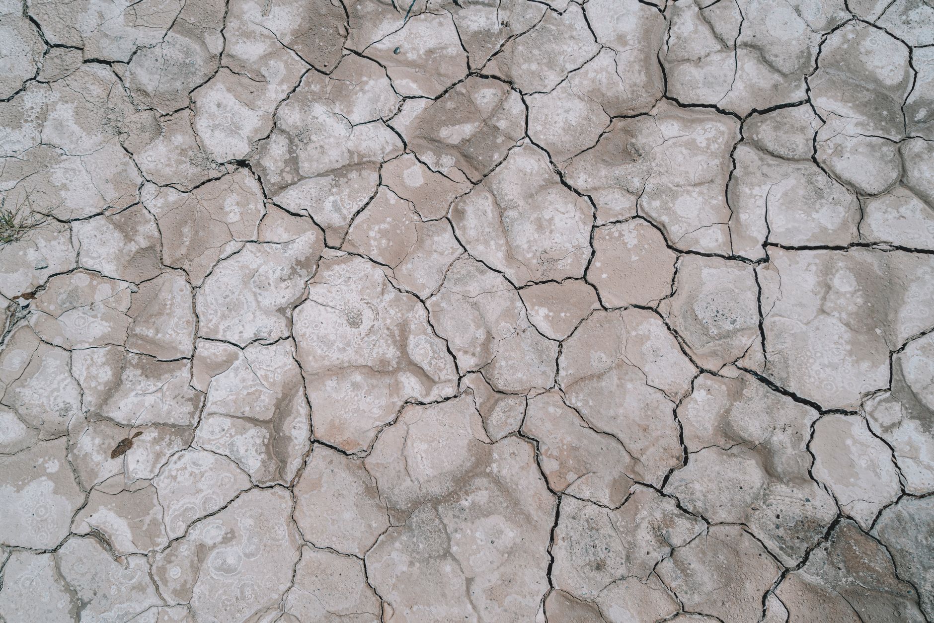 Kekhawatiran Megathrust Viral di Media Sosial, Badan Geologi ESDM Berikan Penjelasan