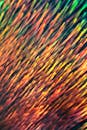 Red Yellow and Blue Abstract Painting