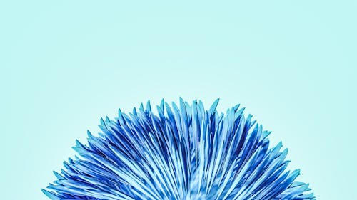Blue Flower Petals in a Blue Background 