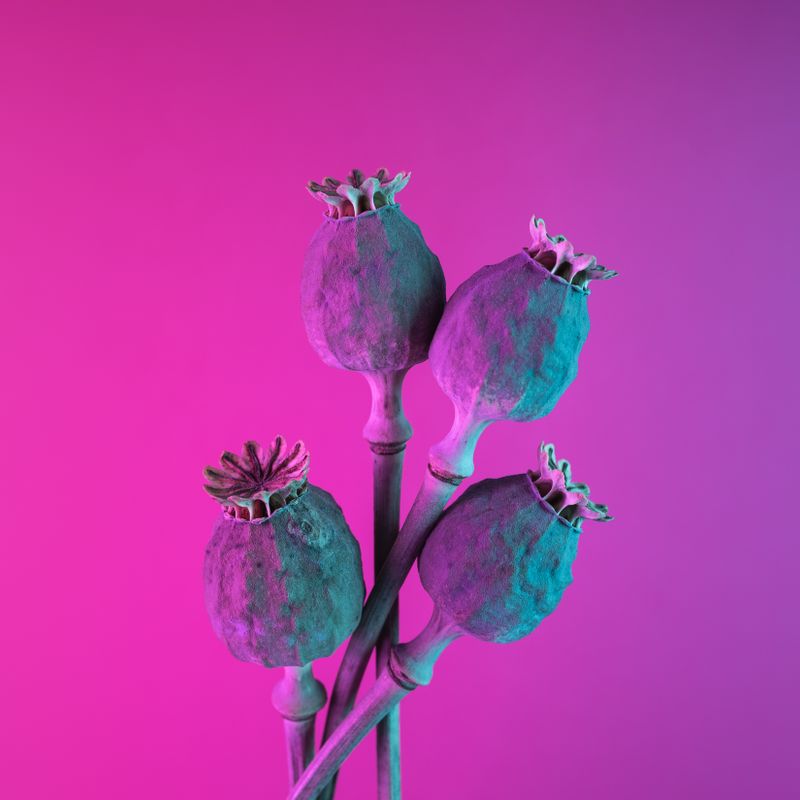 Poppy Seed Lime Dressing