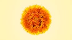 Close-up Photo of a Yellow Flower