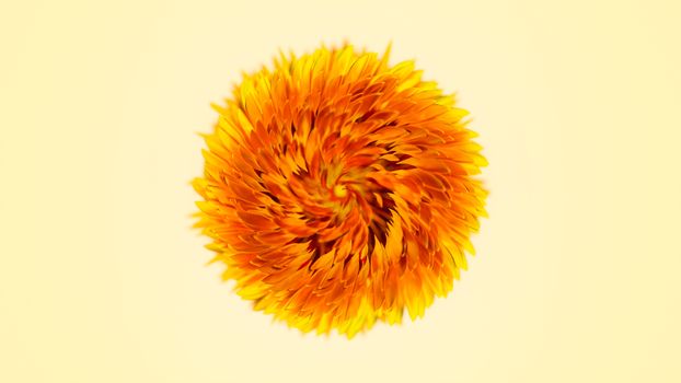 Bright yellow flower with spiral petals, showcasing vibrant and delicate textures in a close-up view.