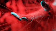 Water Droplets on Red and Blue Light