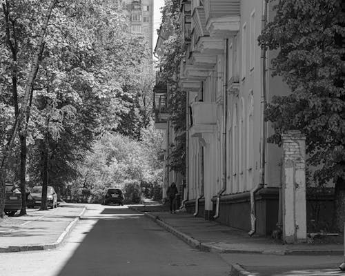 คลังภาพถ่ายฟรี ของ ขาวดำ, ถนน, ถนนในเมือง