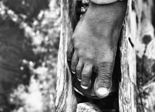 afrika kabile kültürü, ahşap, ayaklar içeren Ücretsiz stok fotoğraf