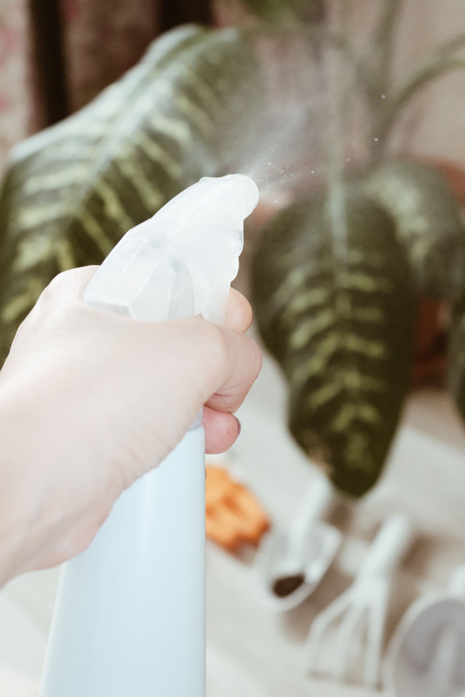다시 들인 화분 잎 물방울 침구 풍수 상담에서 사람이 분무기로 실내 화분 잎에 물을 뿌린 뒤 베개와 이불 가까운 잎 물기를 확인하는 장면