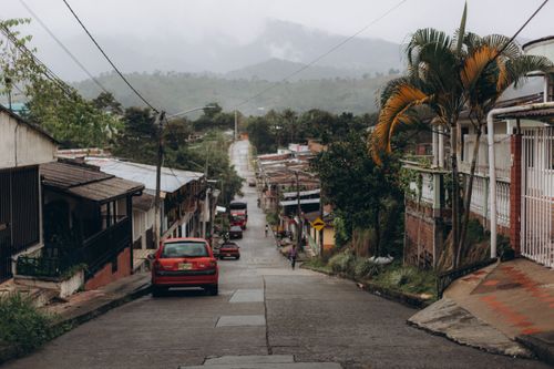 Free Misty village street view with parked cars and tropical trees lining the road. Stock Photo
