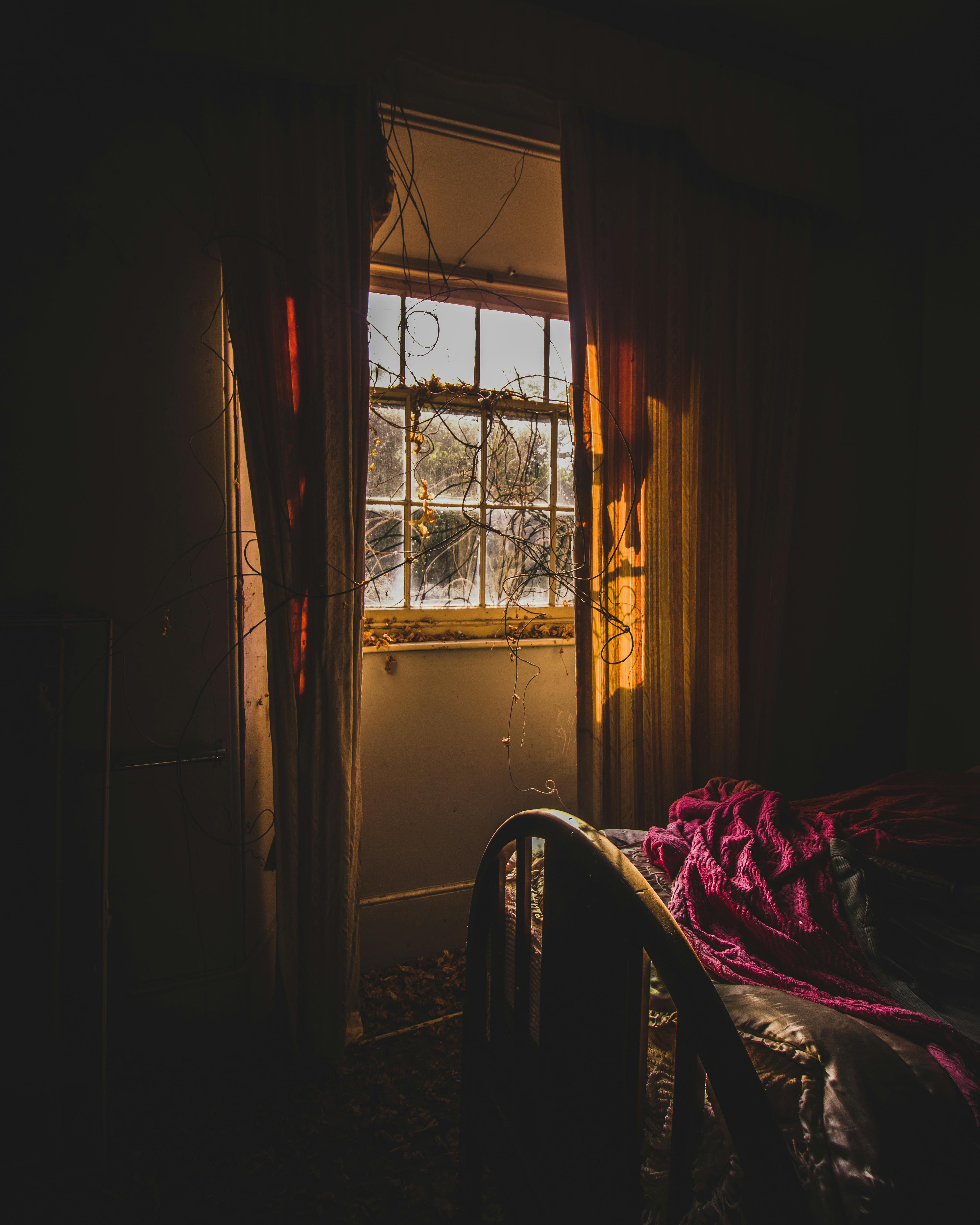 阳光透过窗户，洒在古董床上，卧室显得格外舒适