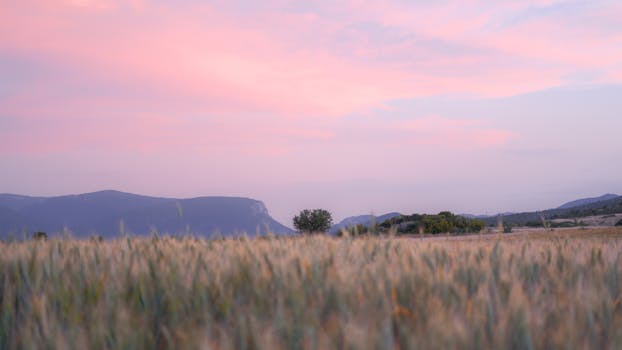 Stunning view of a field against a pink sunset sky and distant mountains.
