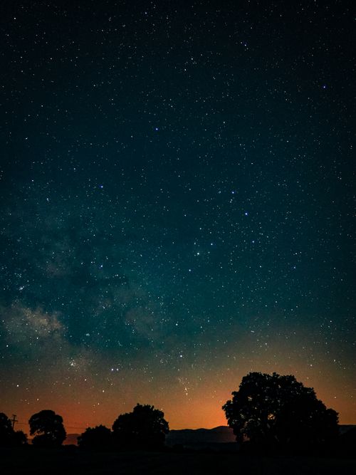 Free A stunning view of the starry night sky with silhouetted trees under a vibrant horizon glow. Stock Photo