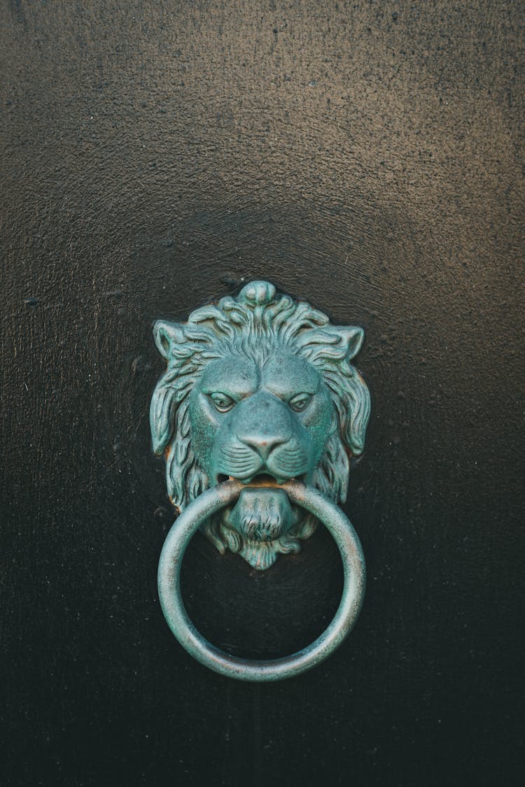 Close-up Photo Of A Lion Door Knocker 