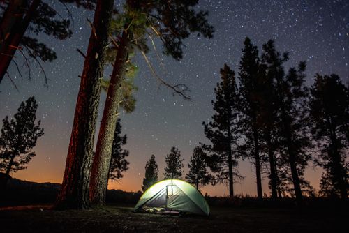 Free A serene camping scene under a starry sky in Ensenada, Mexico, with a secluded tent in the forest. Stock Photo