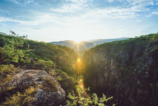 Breathtaking sunrise over a lush green canyon in Mexico, showcasing natural beauty.