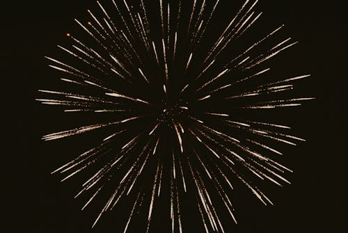 Fireworks Exploding on a Night Sky 