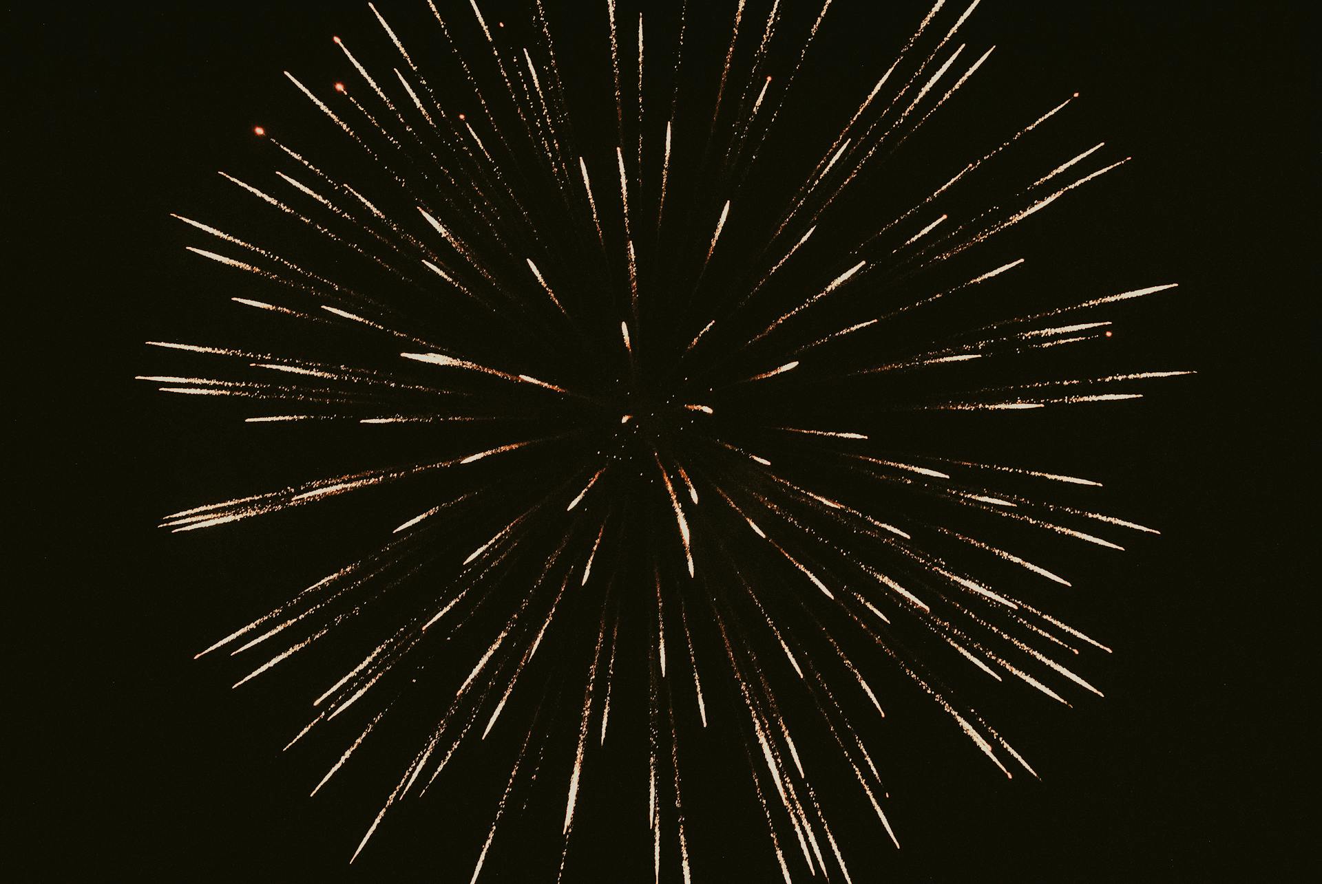 Fireworks Exploding on a Night Sky