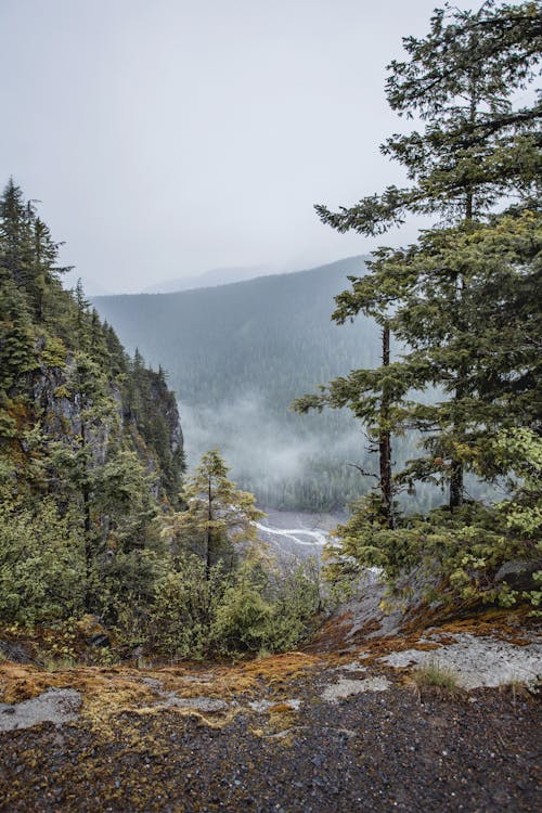 Free Foggy Mountains under White Sky Stock Photo