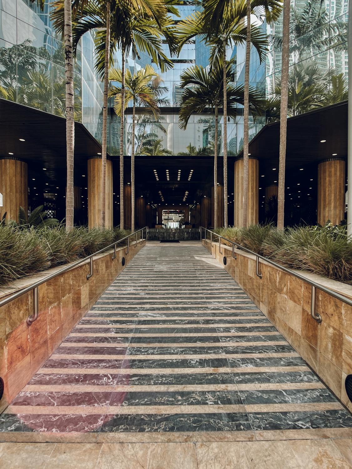 Ramp with Metal Railings Between Palm Trees · Free Stock Photo