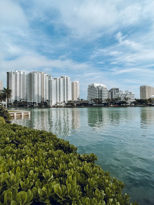 City Buildings Near Body of Water under Blue Sky and White Clouds