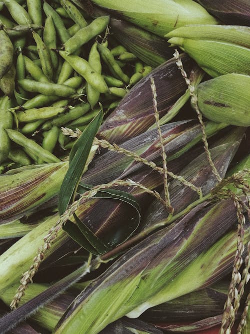 Green Beans and Corns in Close Up View
