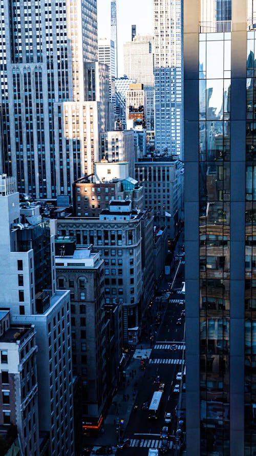 View of Skyscrapers in a City 