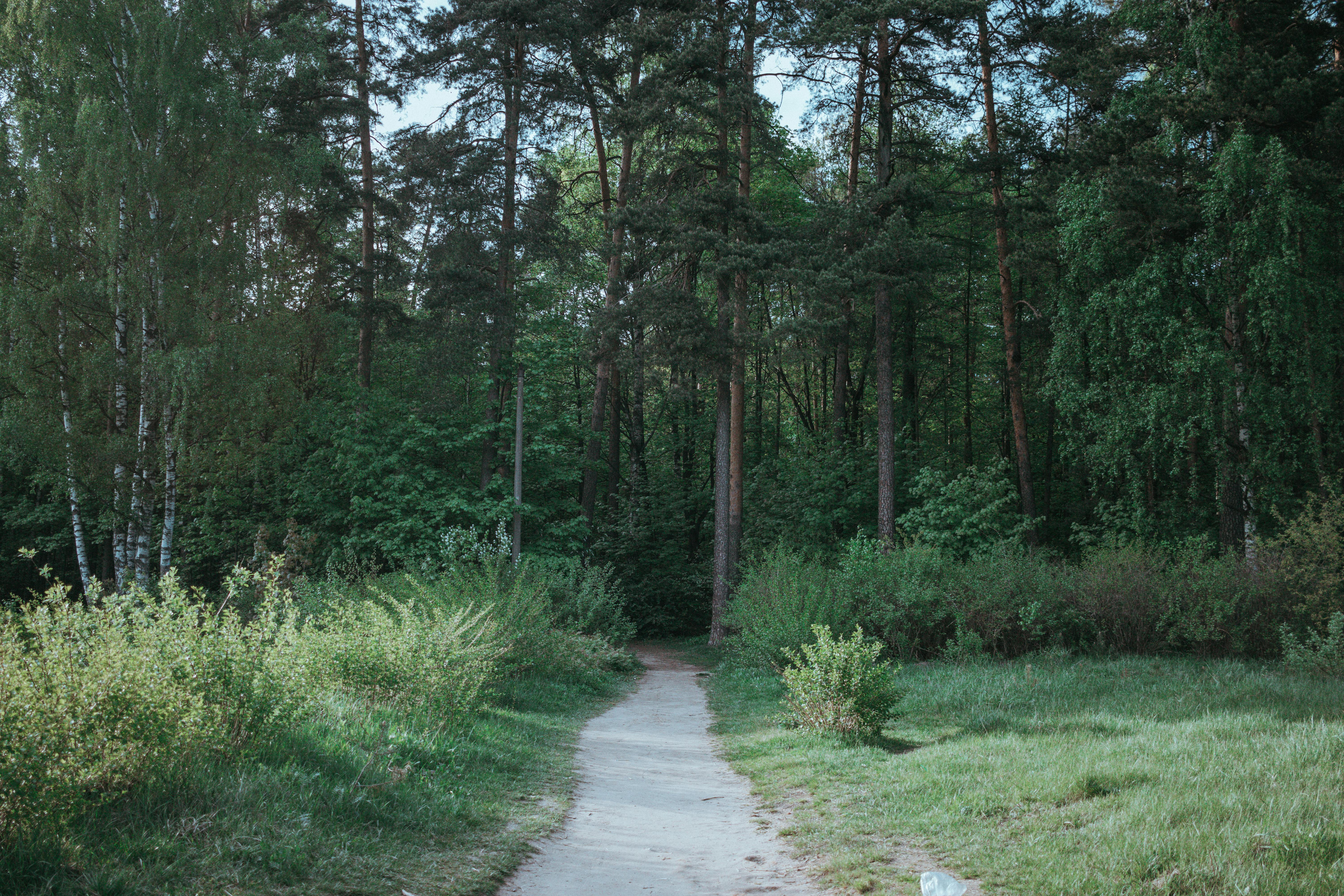 wedding coordinator near me