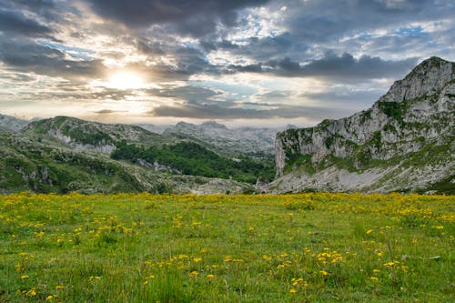 Fotobanka s bezplatnými fotkami na tému dedinský, divá príroda, fotografia prírody