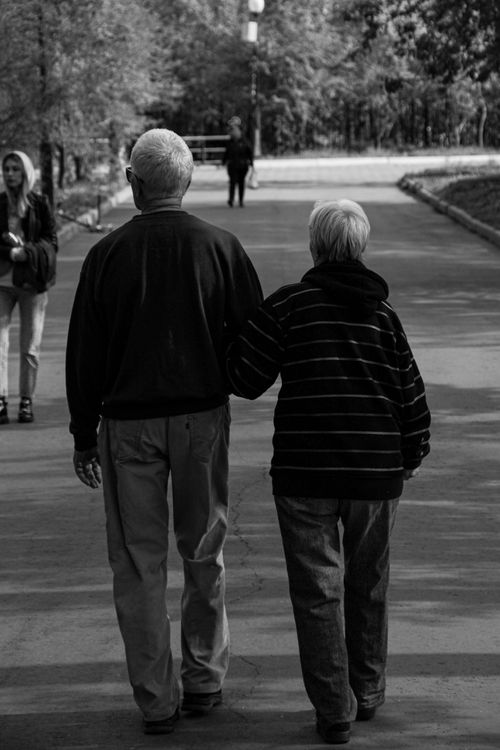 Free A senior couple walks arm in arm in a peaceful park setting, captured in black and white. Stock Photo