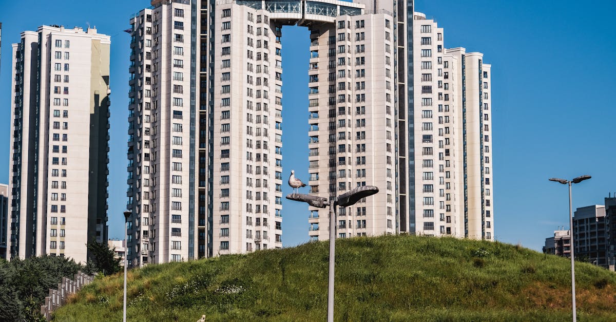 Immobilienprojekte: Neubau vs. Altbau