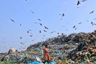 Human impact on the environment