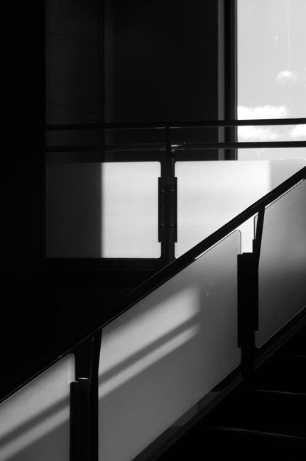 Black and white minimalist staircase with frosted glass panels and sunlight shadows.
