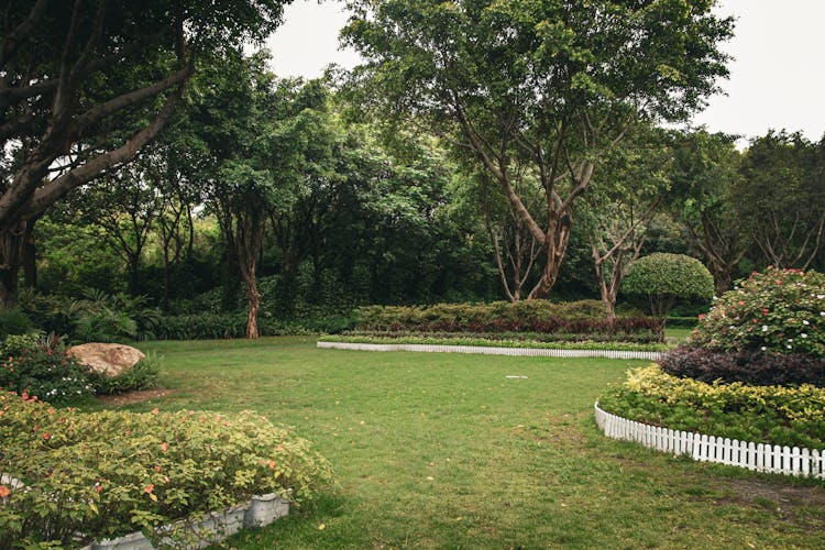 Trees, Shrubs And Lawn In A Garden