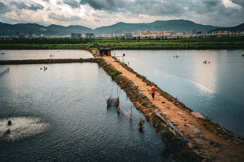 Fishing Pools in Countryside