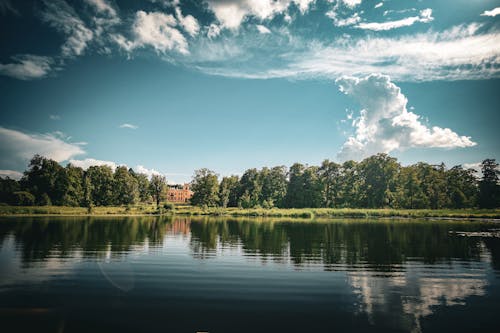 Kostnadsfri bild av flod, landskap, park