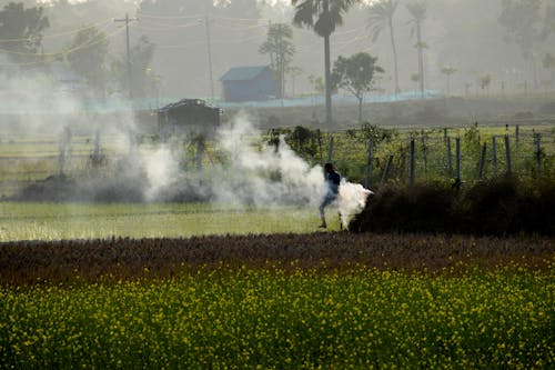 Foto profissional grátis de agricultura, andando, área