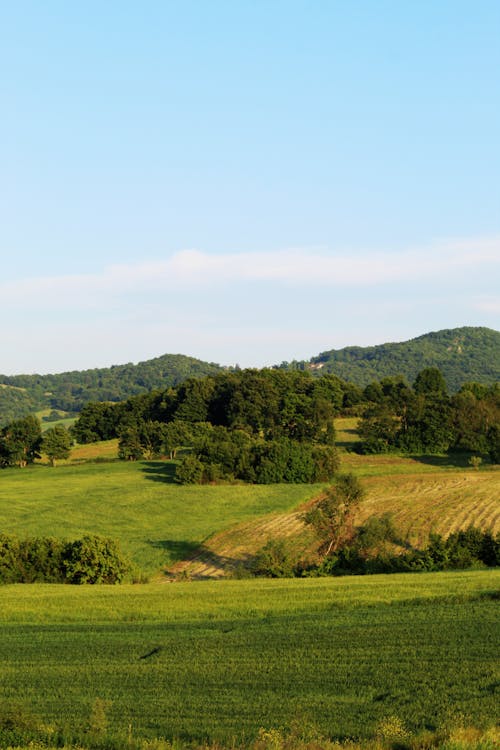 Gratis stockfoto met akkerland, blauwe lucht, groen gras