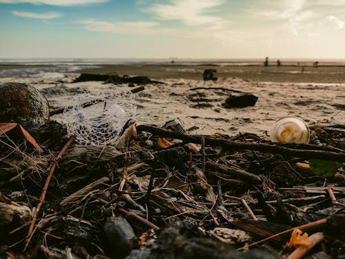 모래, 쓰레기, 오염의 무료 스톡 사진