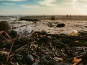 Free stock photo of beach, debris, ocean pollution