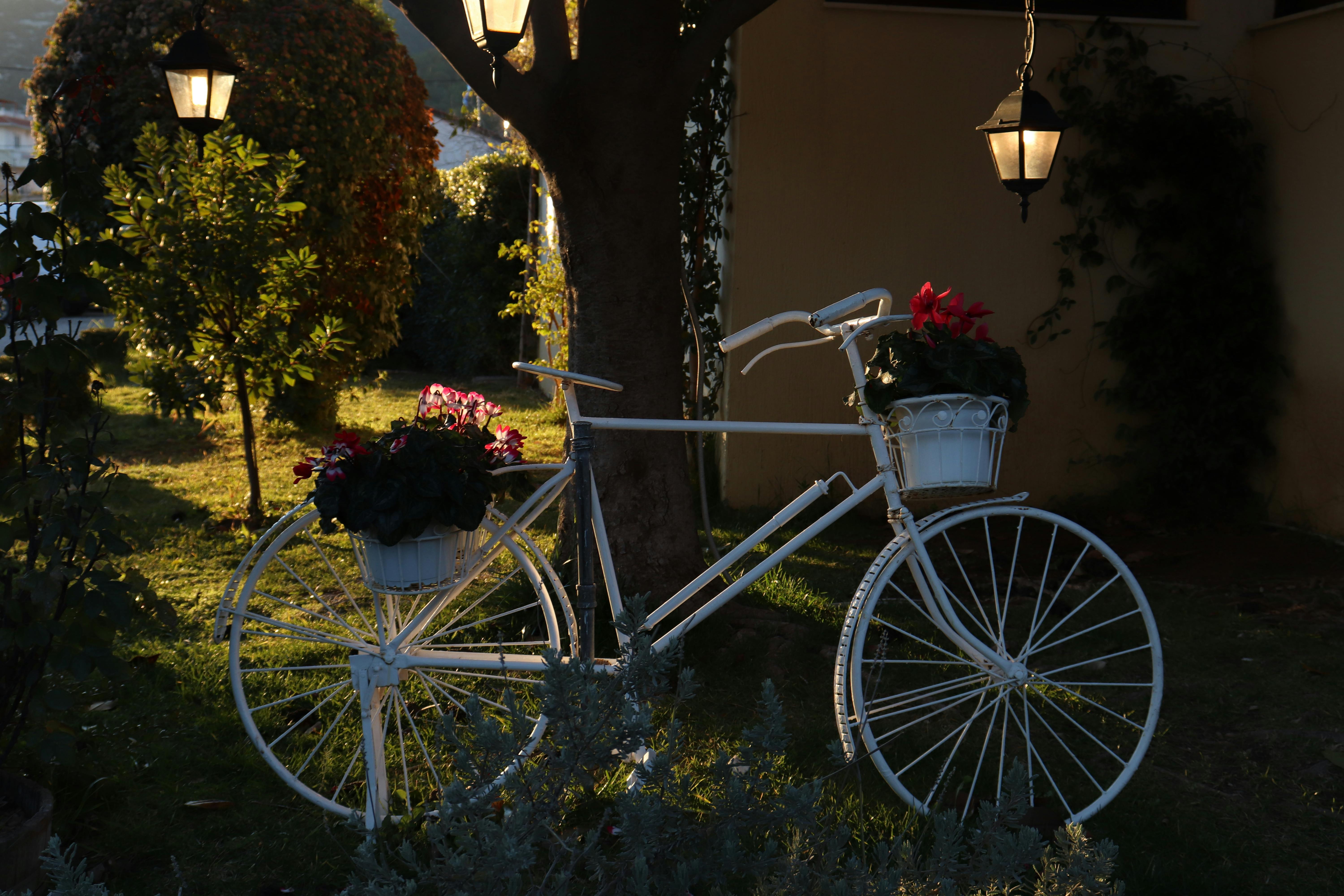 Bicycle with Flower Baskets in Garden · Free Stock Photo