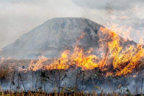 Free Dramatic wildfire engulfing a mountainside near Sterlitamak, Russia with blazing flames. Stock Photo