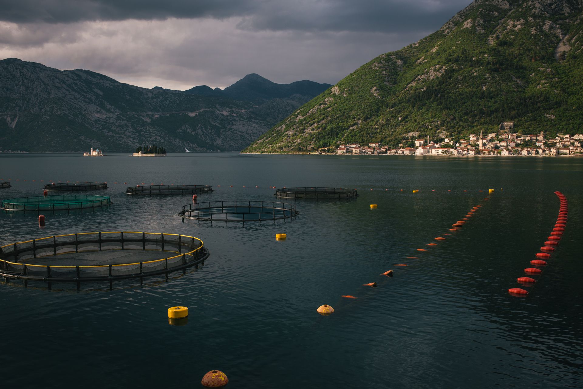 Aerial view of fish farms in the tranquil Bay of Kotor, framed by majestic mountains.