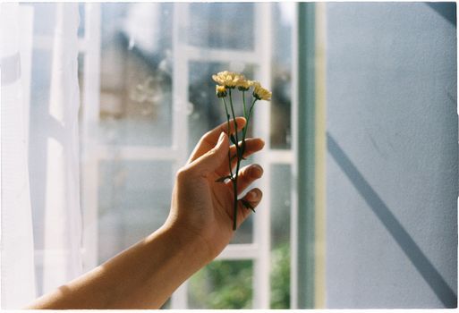 A close-up of a hand holding small flowers indoors by a sunlit window.