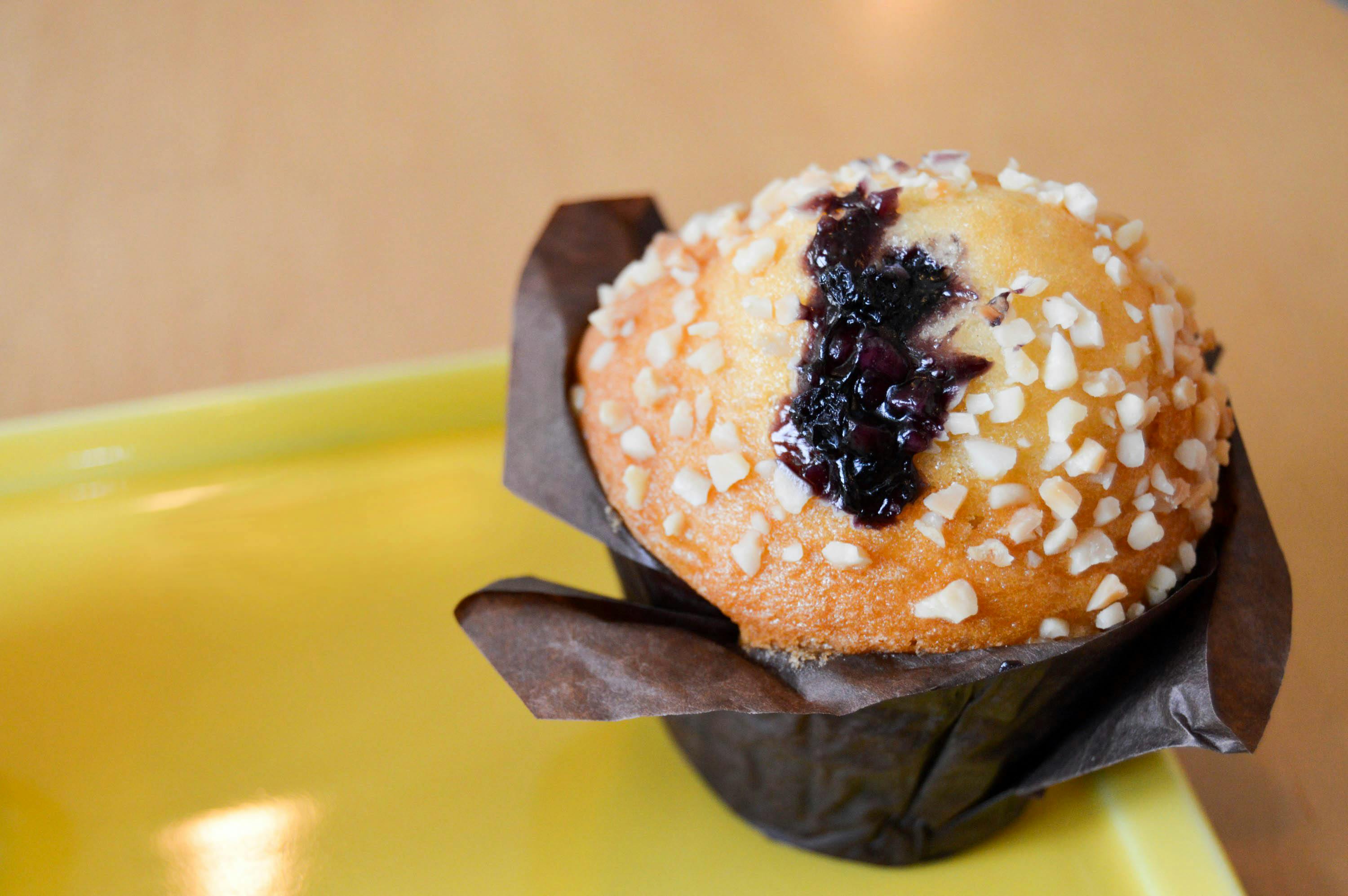 Free stock photo of blueberry muffins, cupcake, muffin