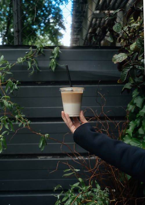 A Person Holding Ice Coffee Latte in a Disposable Cup