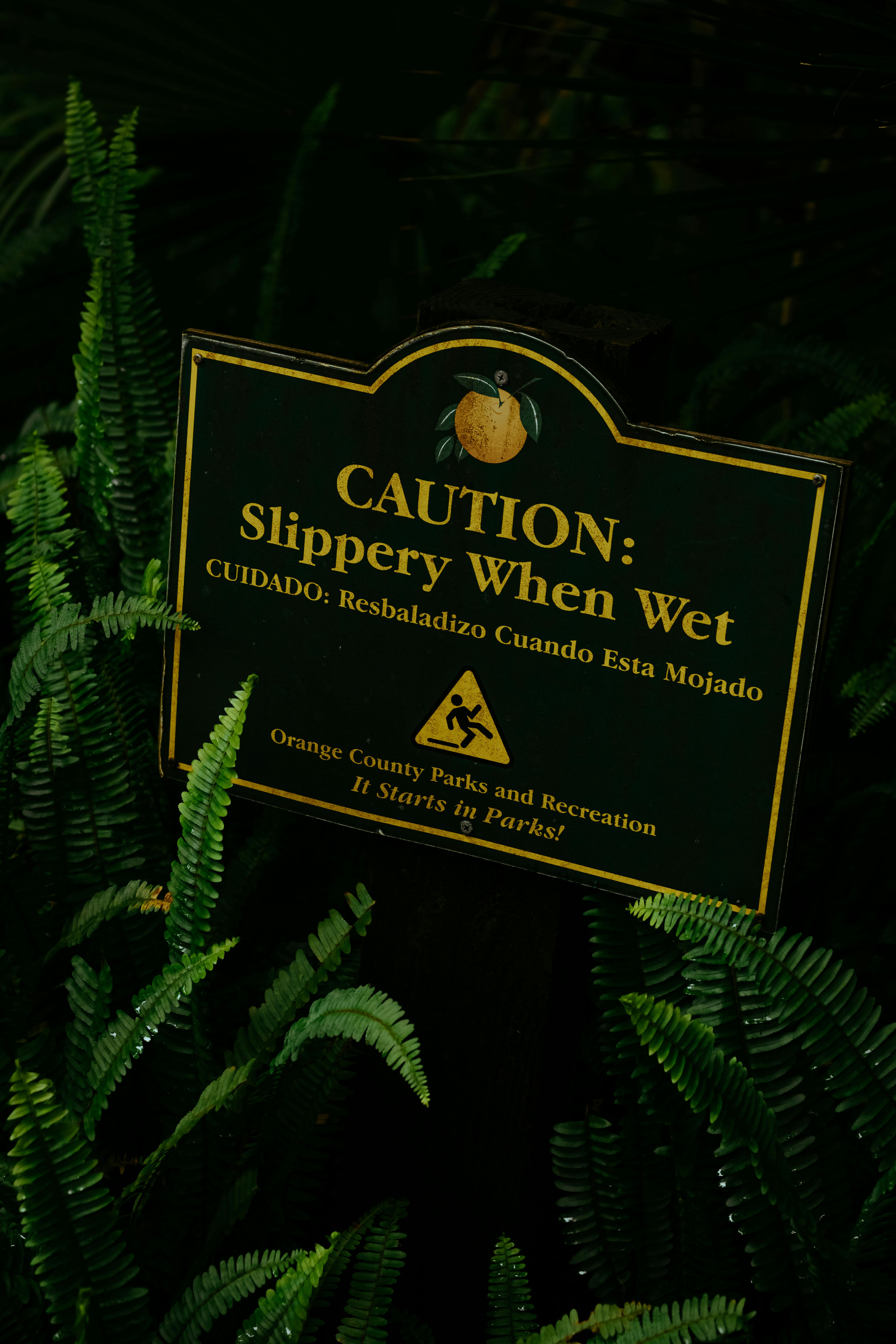 When was the last worst earthquake?