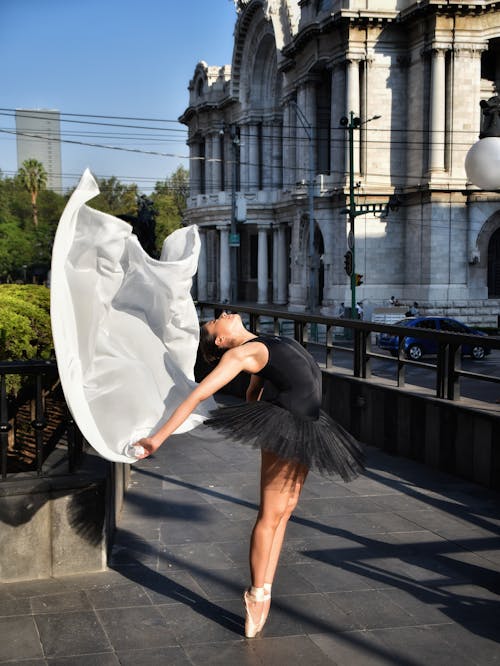 Základová fotografie zdarma na téma baletka, držení těla, elegance