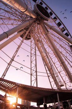 日落时分，鸟儿飞过芝加哥海军码头摩天轮的低角度视野